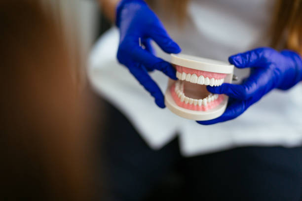  Berwyn, IL Holistic Dental Care Services Pros