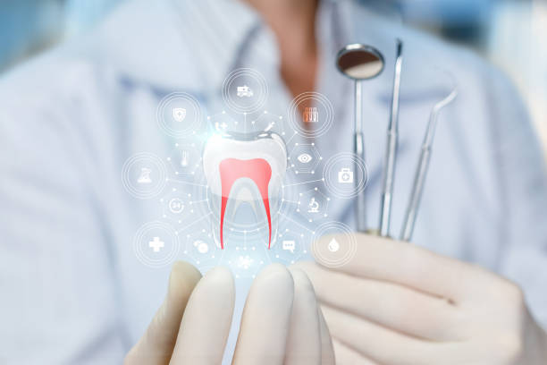 Professional Holistic Dental Care Services in Berwyn, IL